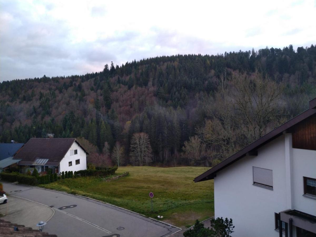 Gemütliche Ferienwohnung Ievgeniia Todtmoos Exterior foto