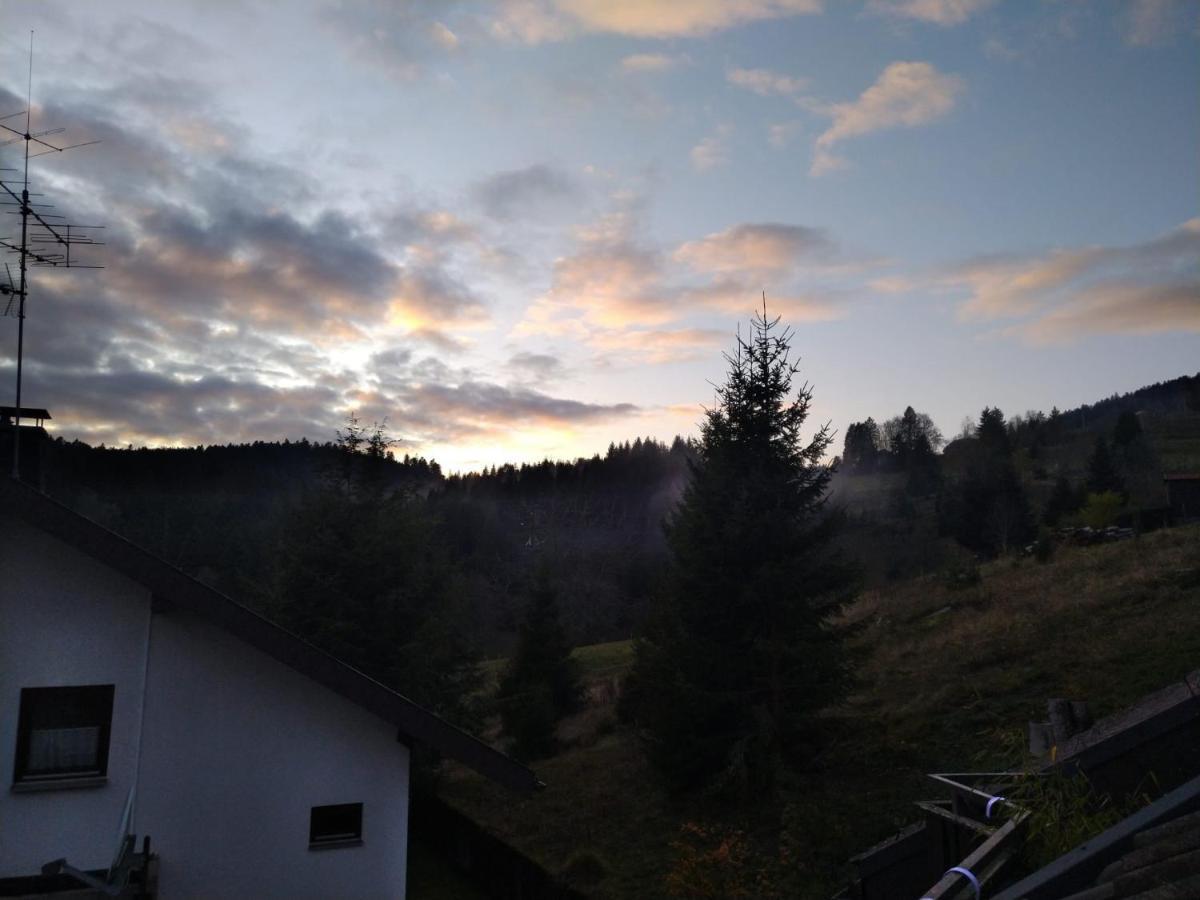 Gemütliche Ferienwohnung Ievgeniia Todtmoos Exterior foto
